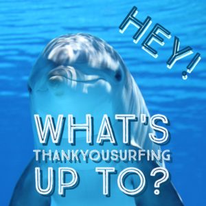 thankyousurfing-dolphin